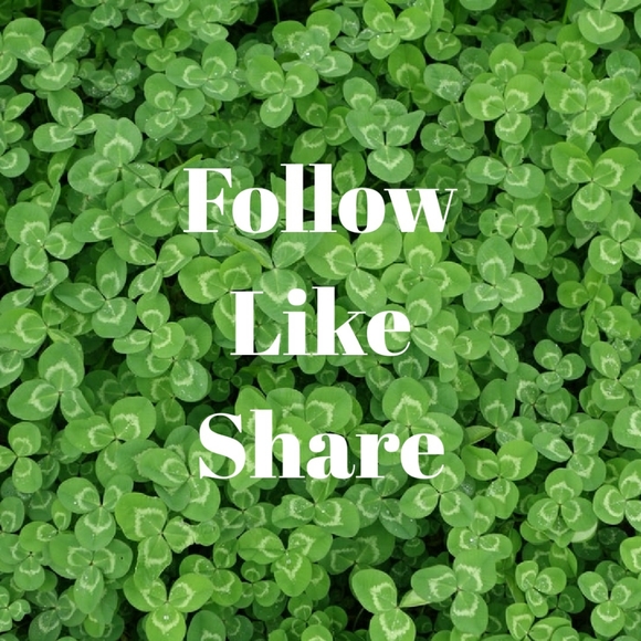 Thank you all Follow New Game This one is ending. - Picture 6 of 10